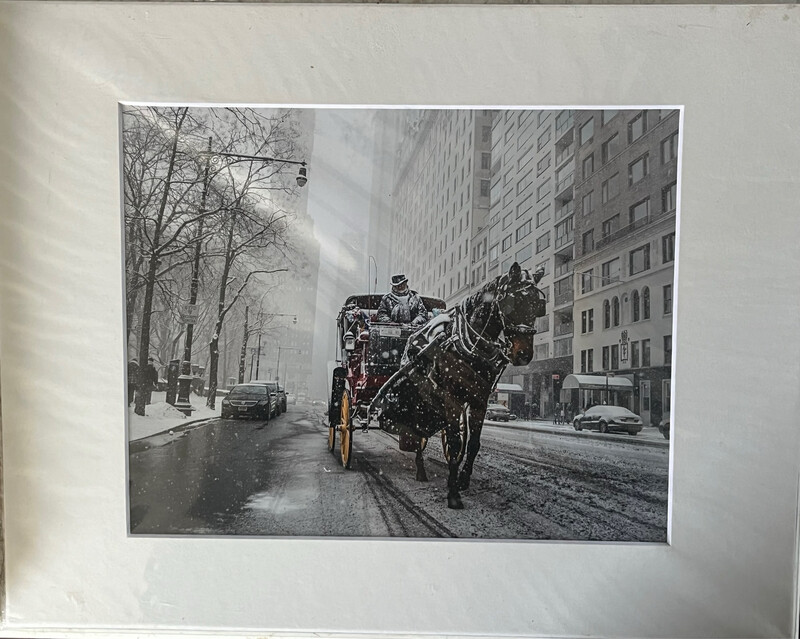 NYC Carriage Horse 8 color print