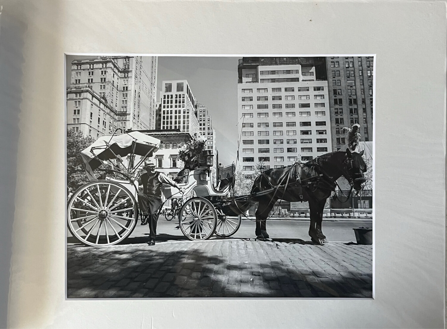 NYC Carriage Horse 7 print