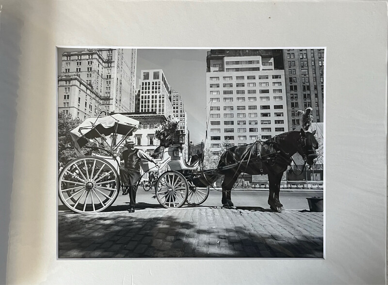 NYC Carriage Horse 7 print