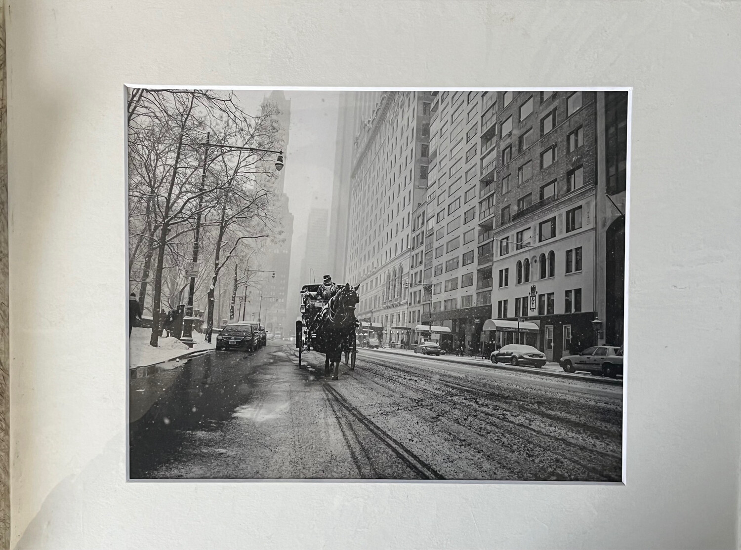 NYC Carriage Horse 10 black and white print