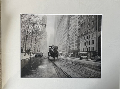 NYC Carriage Horse 10 black and white print