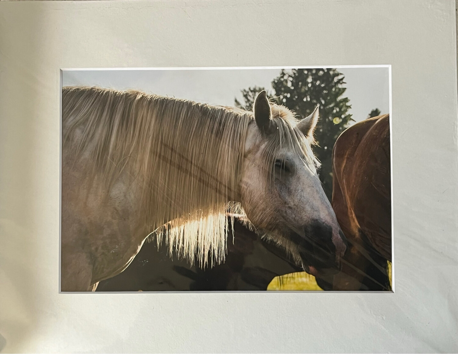 Romeo and Lucy 1 print