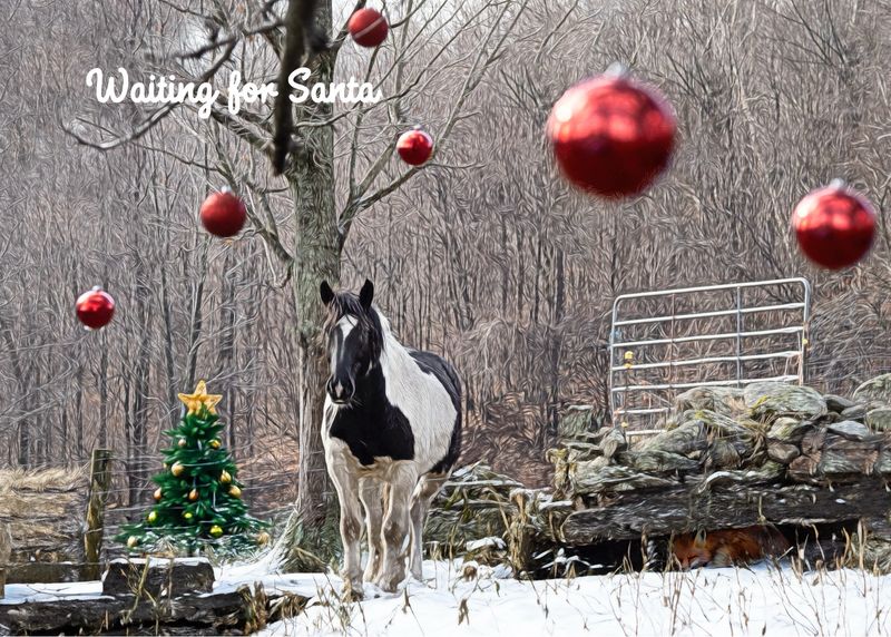 Waiting for Santa