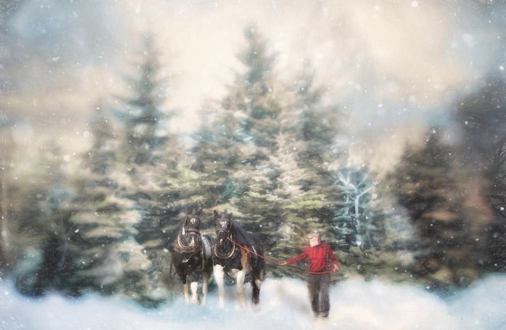 Punch and Winter