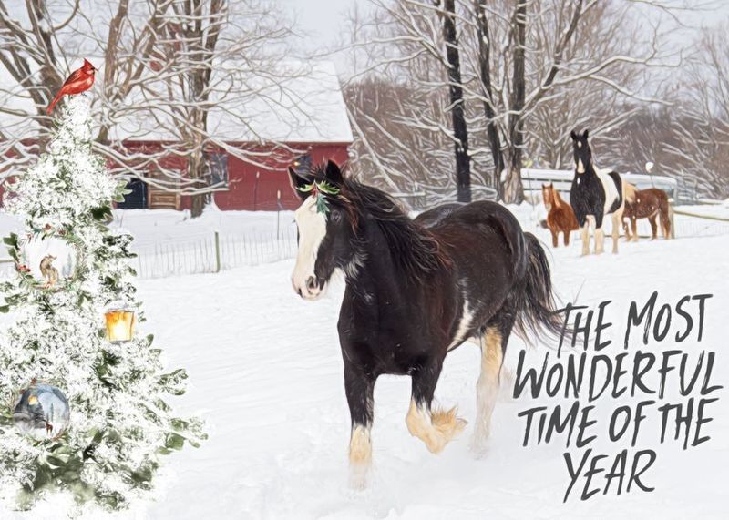 The Most Wonderful Time Of The Year