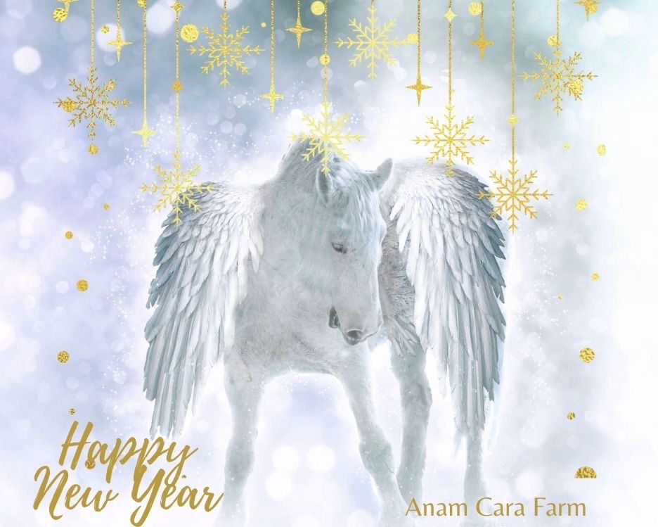 Happy New Year