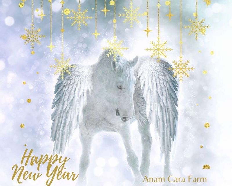 Happy New Year