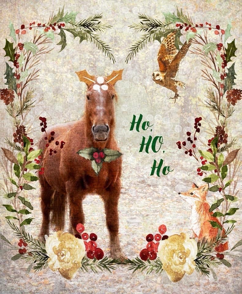 Ho Ho Ho