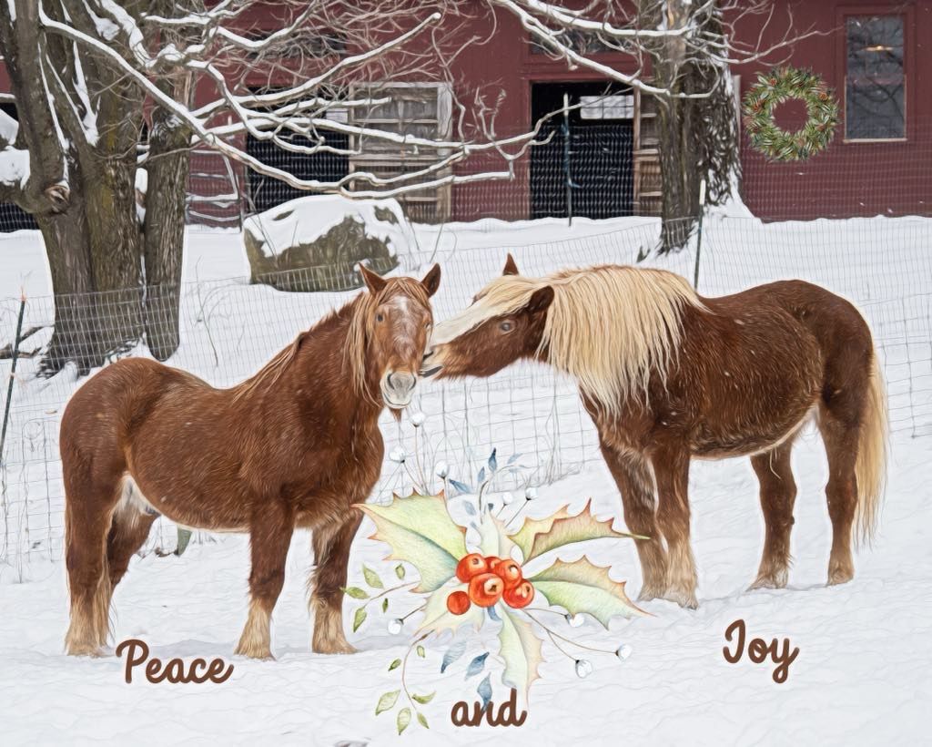 Peace and Joy