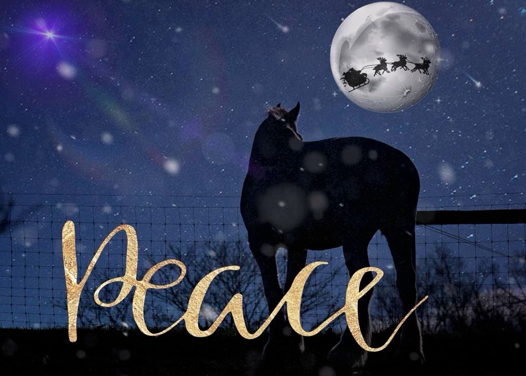 Peace Moon