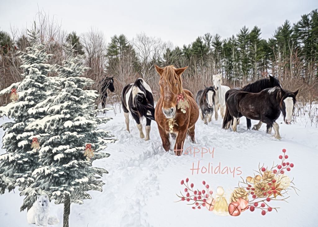 Herd Happy Holidays