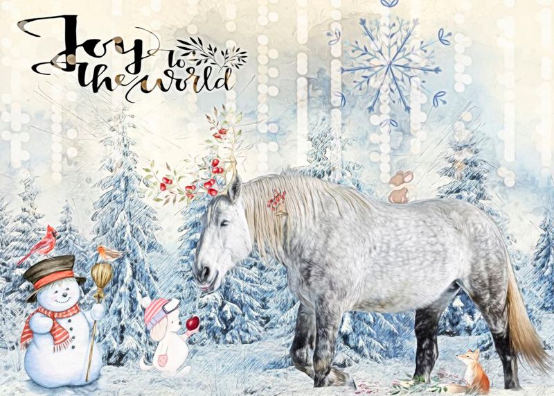 5 Card Holiday Assortment One