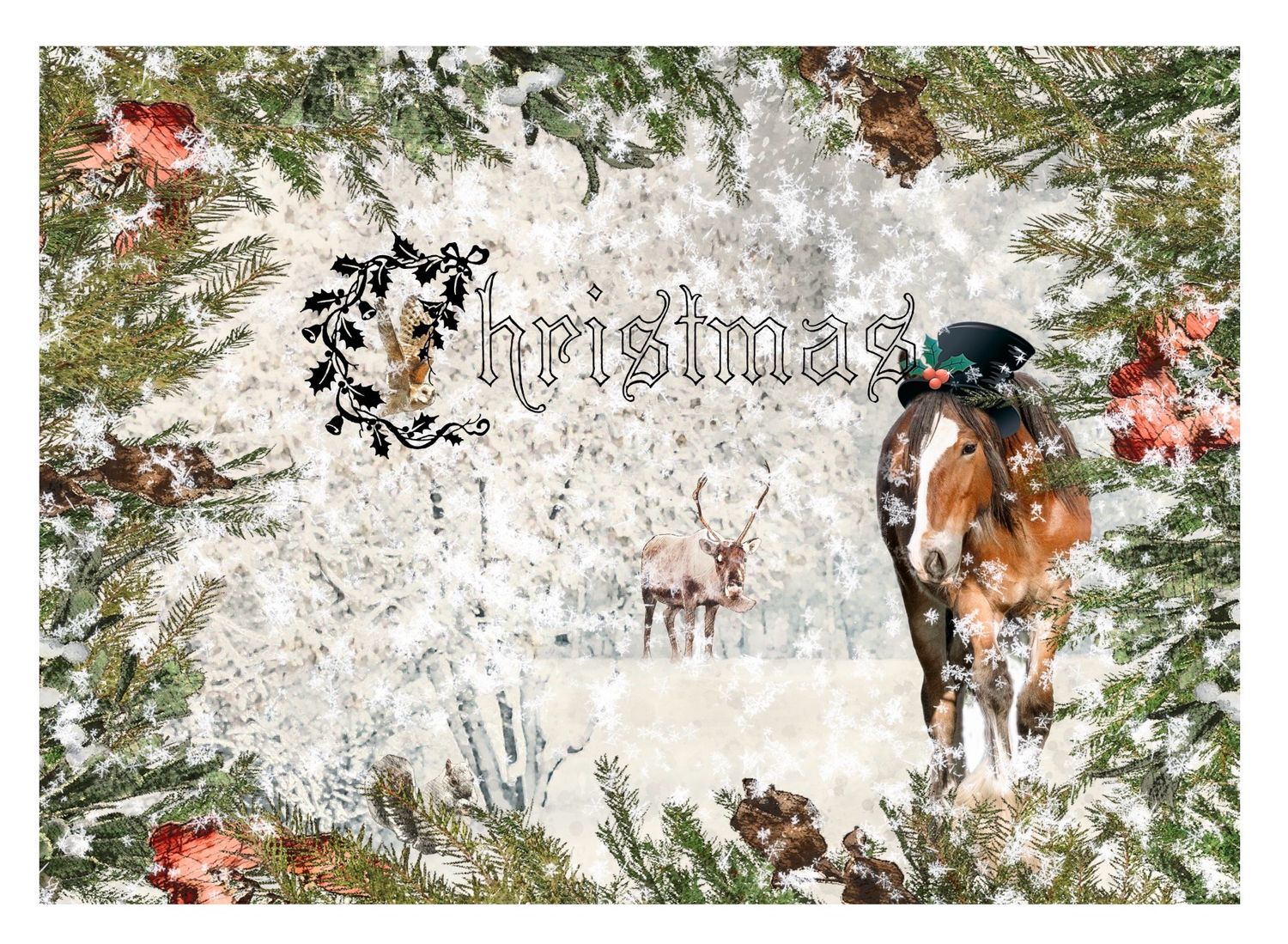 Elspeth Christmas
