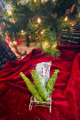Cedar Smudge Gift, 3 Pack