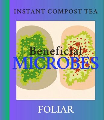 Foliar Ecolizer 1B² ™, 5 lb.