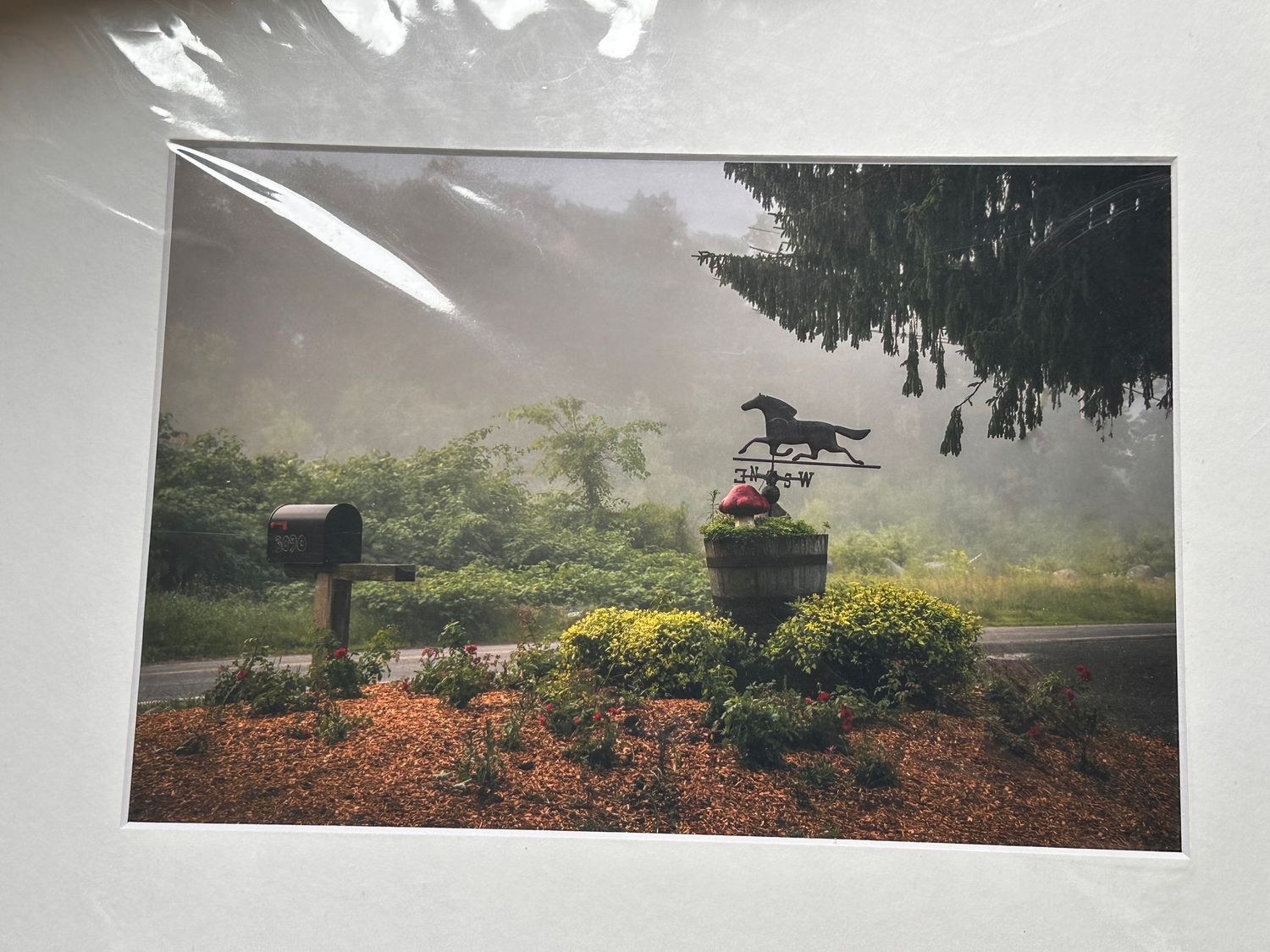 Blue Star Palmer Weathervane print