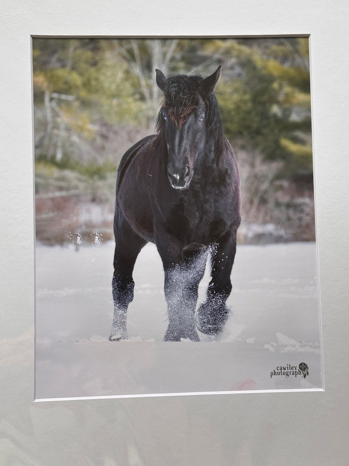 Mario in snow drift print 8 x 10
