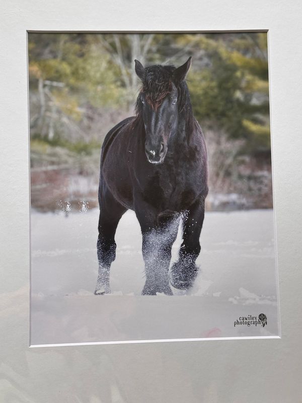 Mario in snow drift print 8 x 10