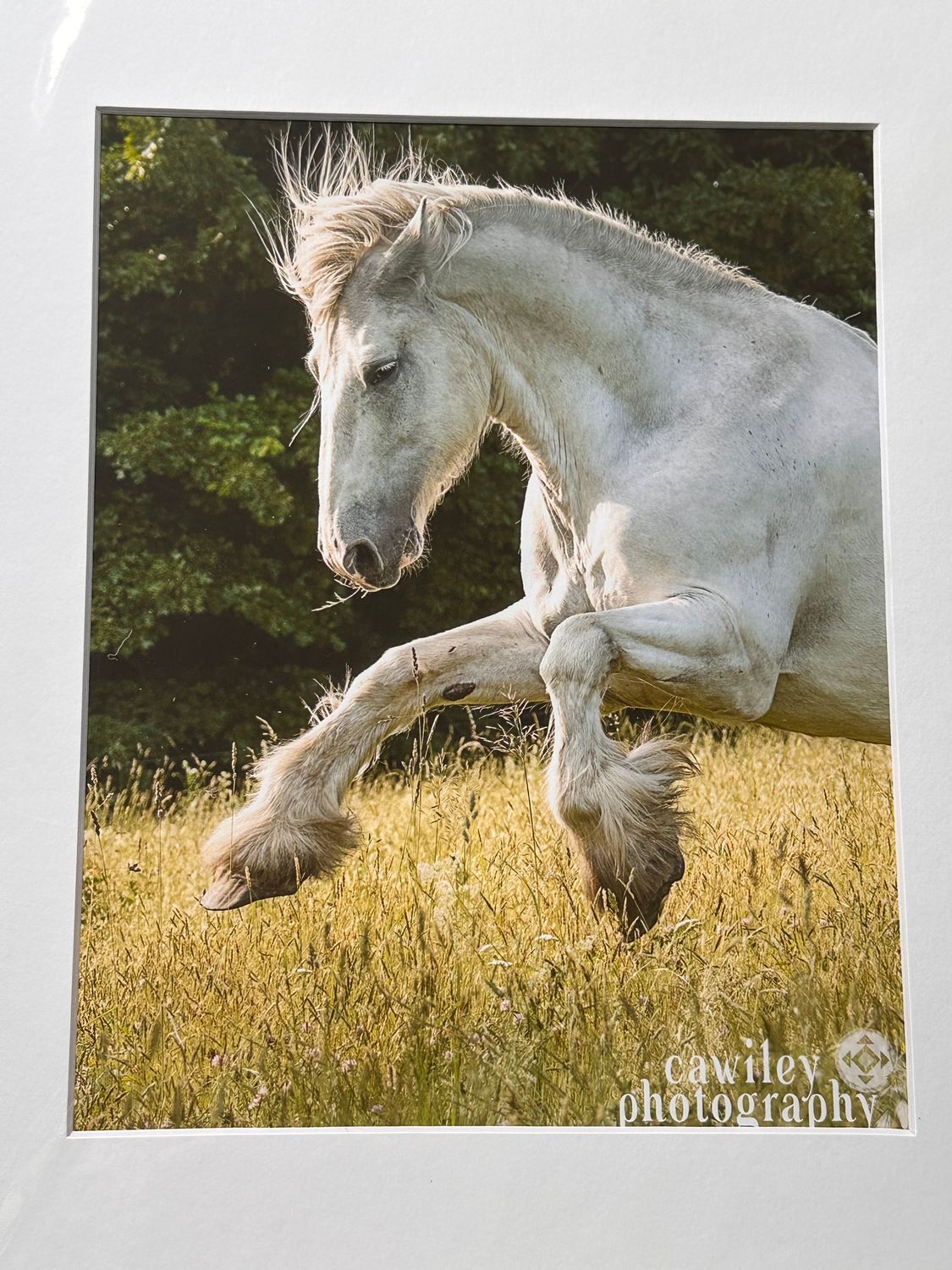 Foxy galloping ballerina print