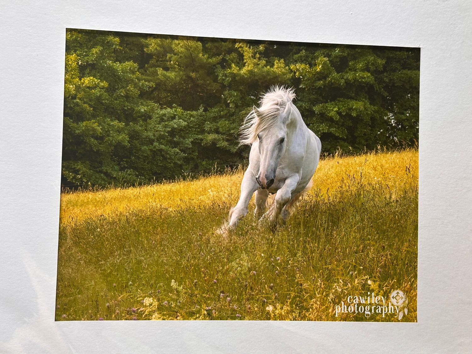 Foxy gallivanting through field print