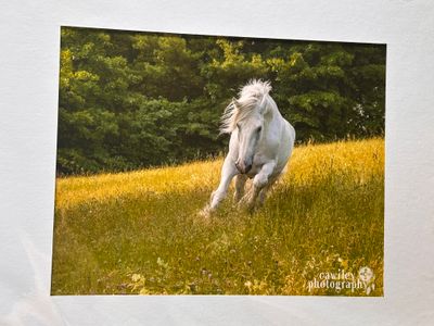 Foxy gallivanting through field print