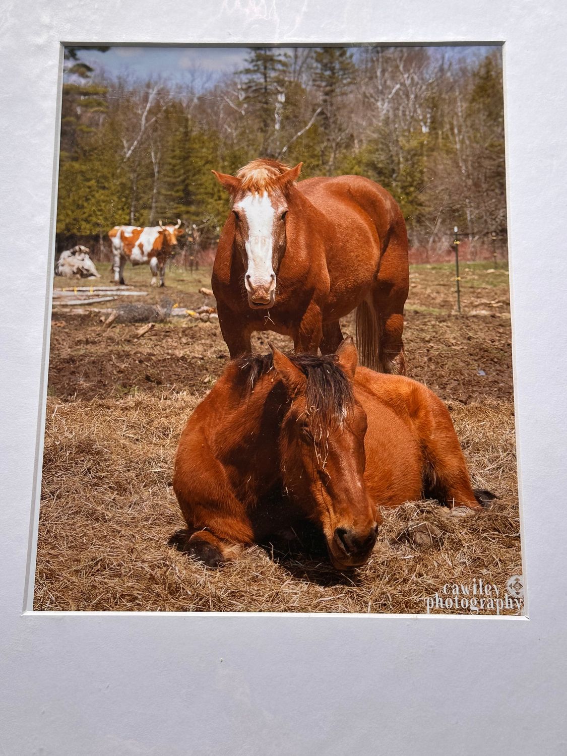 Luke supervising Gallagher print 8x10