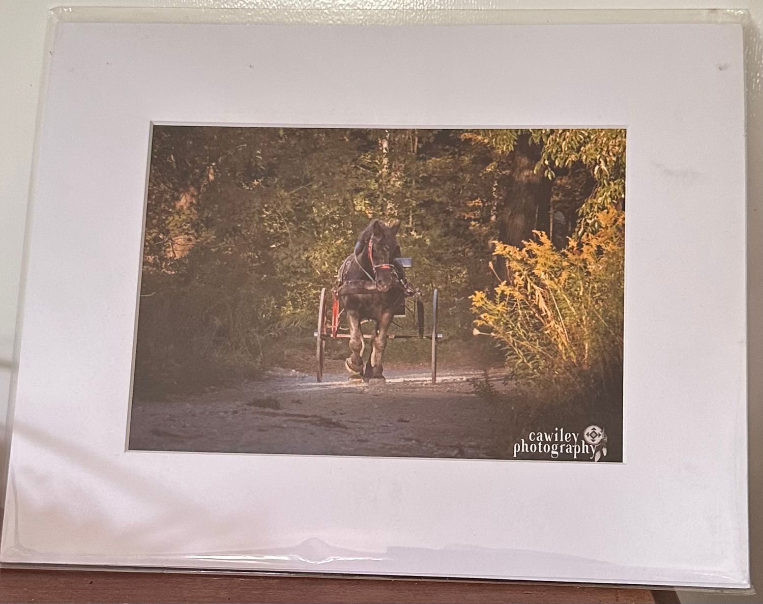 Mario the legend in woods 4x6 print