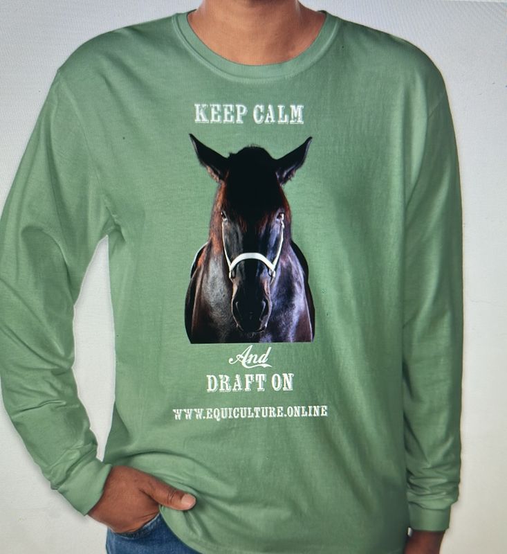 Keep Calm and Draft on Long Sleeve Shirt