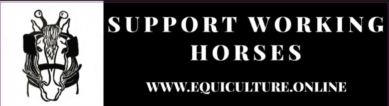 Support Working Horses 11 x 3 Bumper Sticker