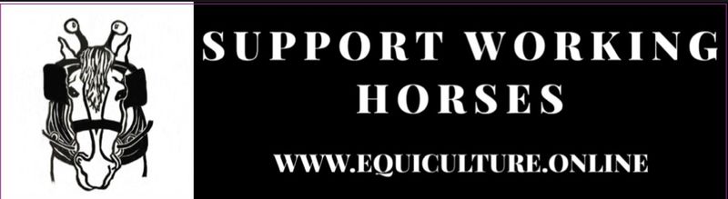Support Working Horses 11 x 3 Bumper Sticker