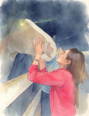 Nose to Nose