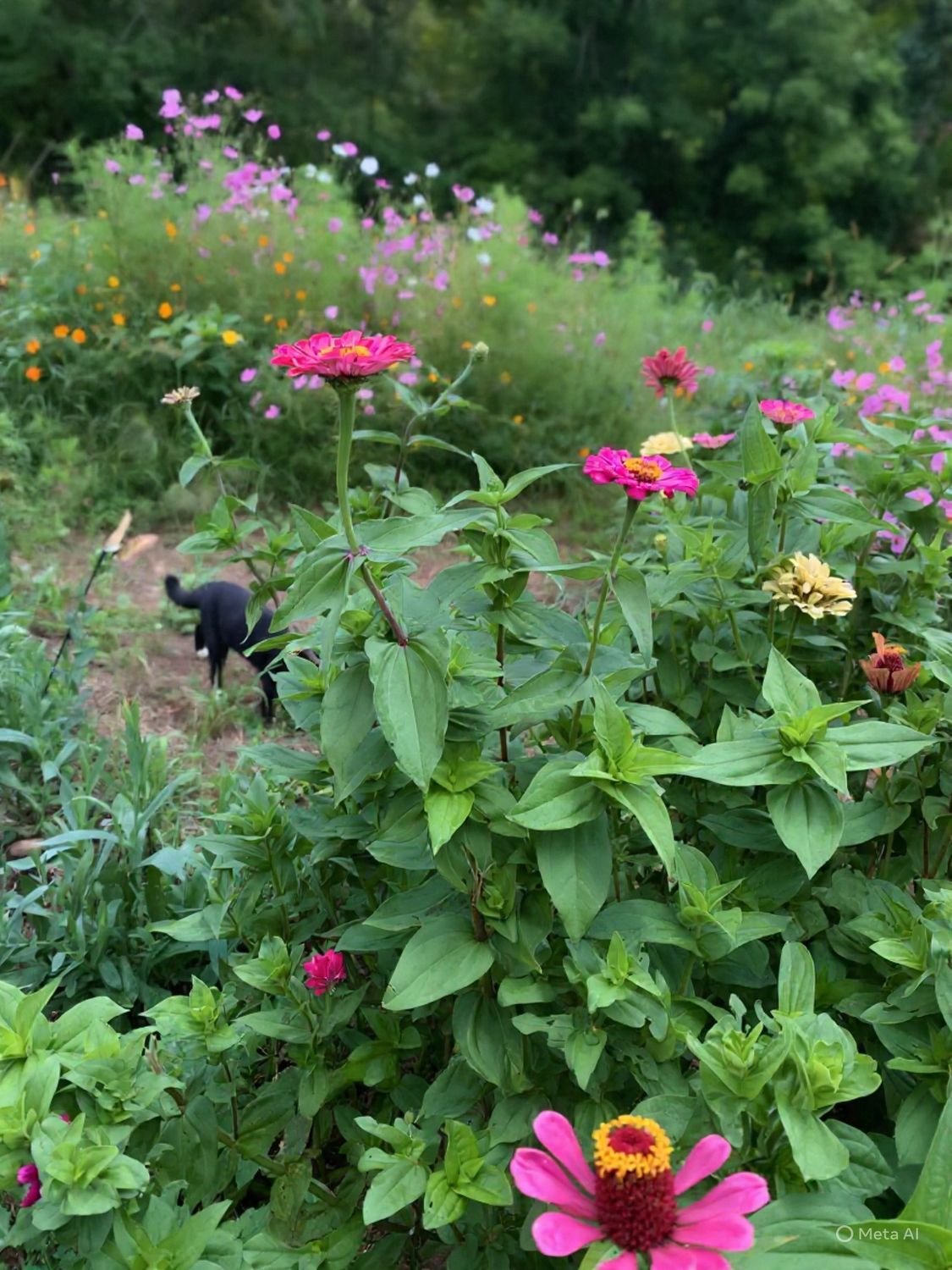 Babes in the Garden