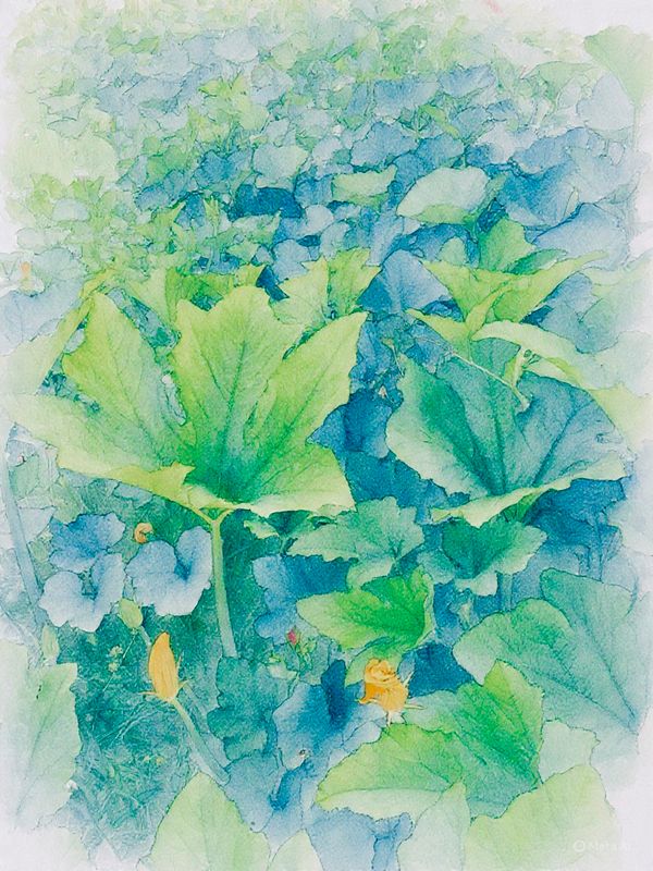 Garden Squash