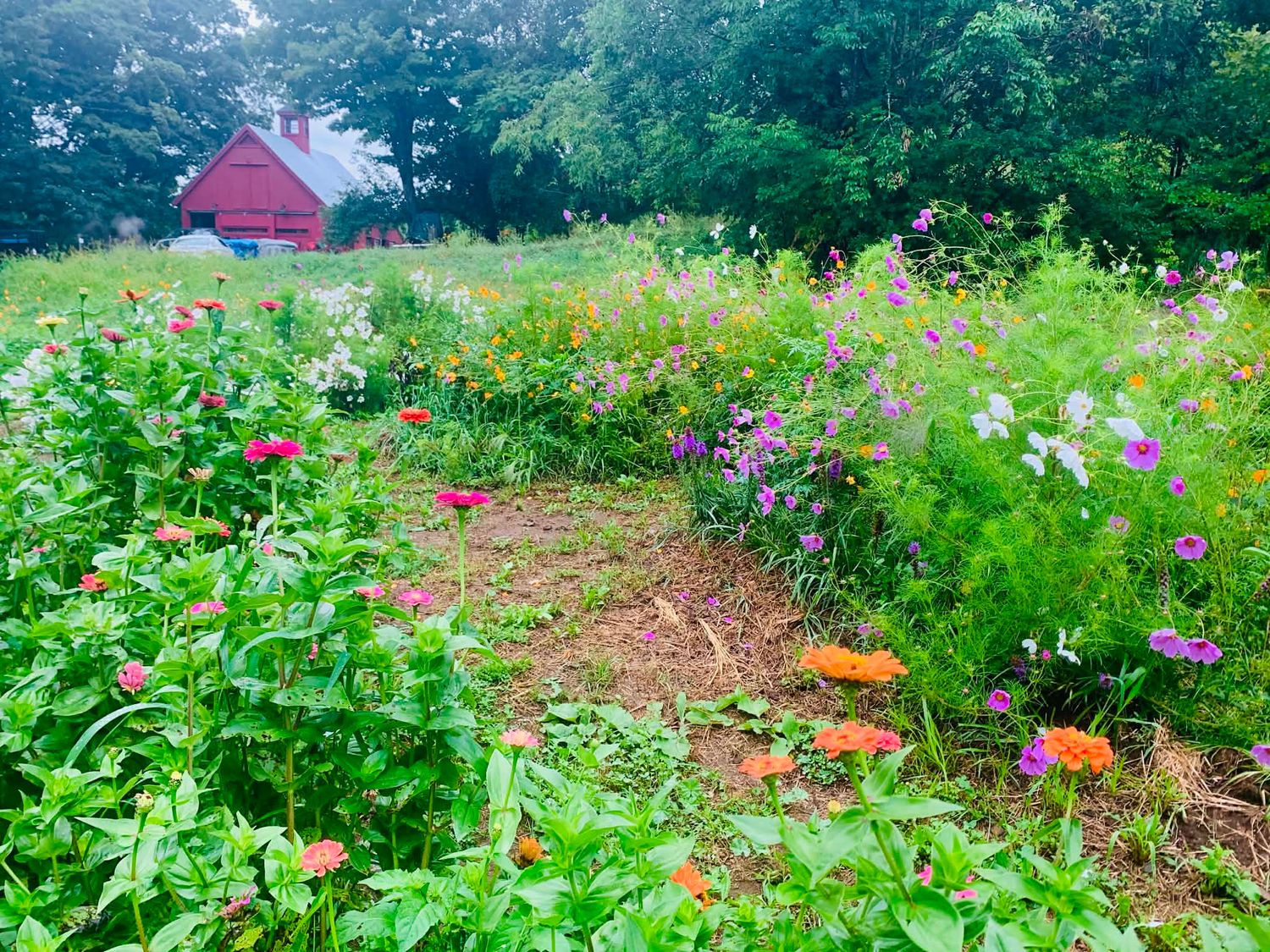 Alderman Barn Flowers