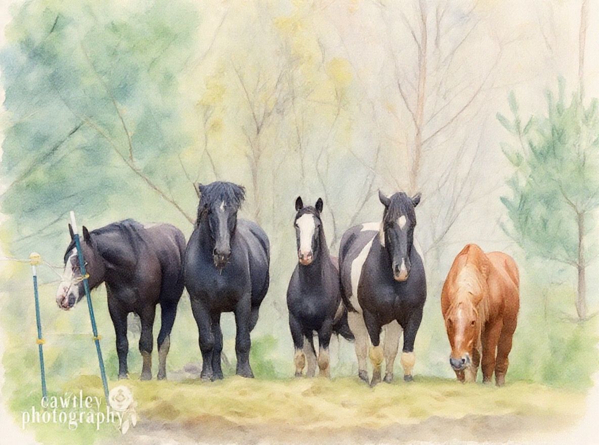 Herd in the Woods