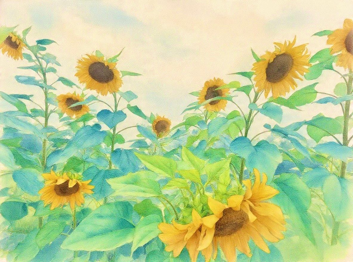 Sunflower 22
