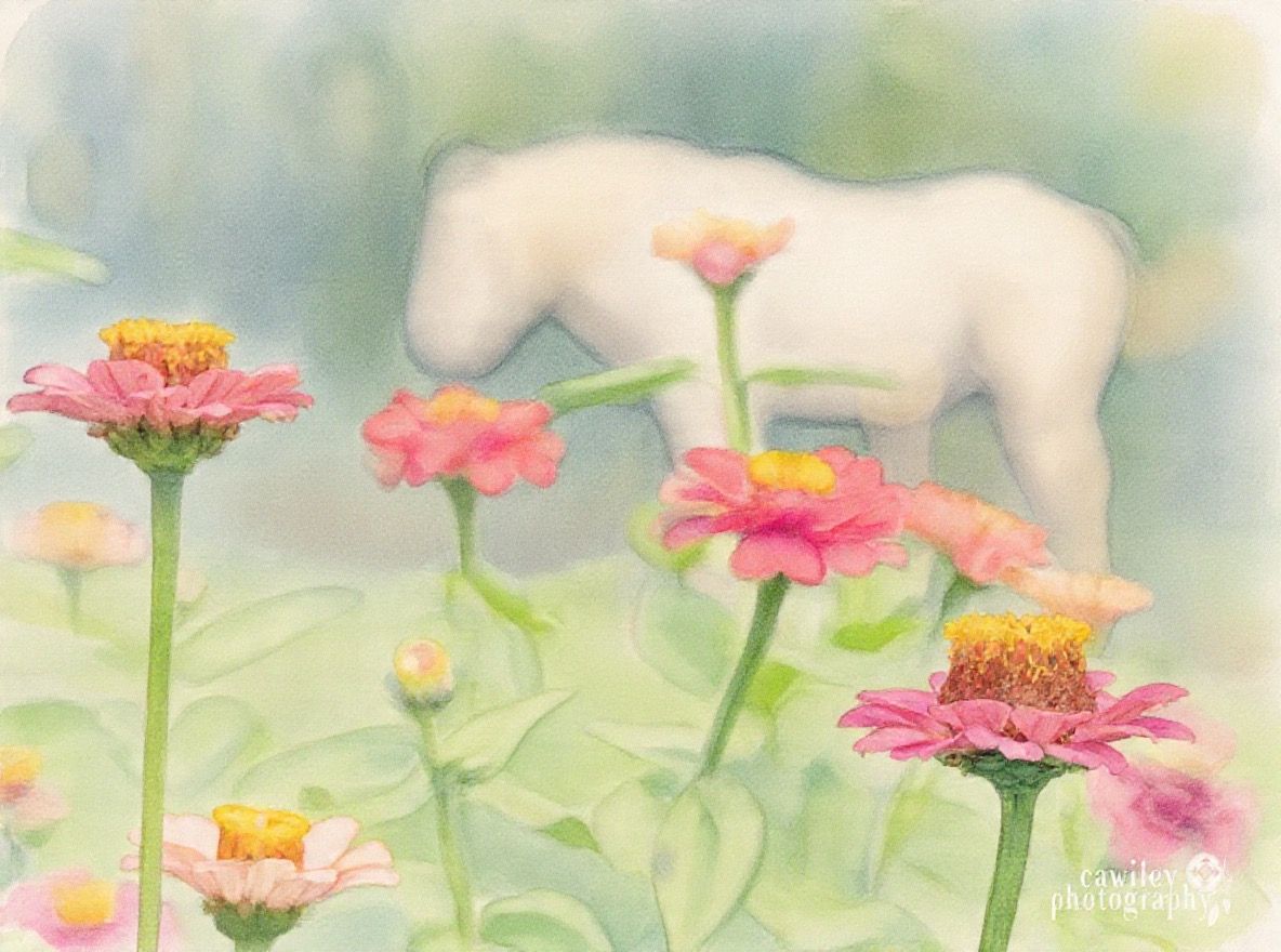 Flower-3