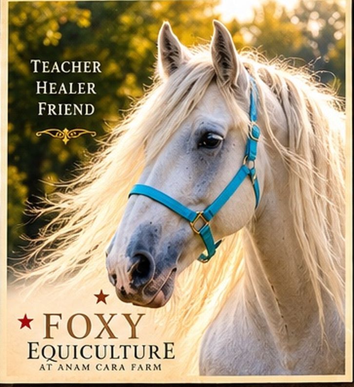 Teacher, Healer, Friend