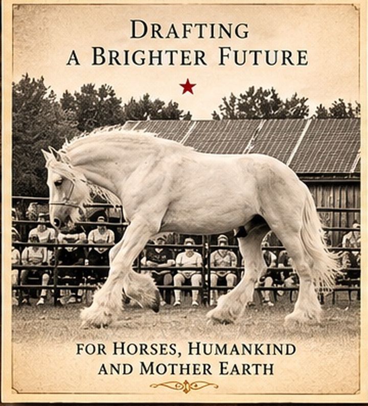 Drafting a Brighter Future