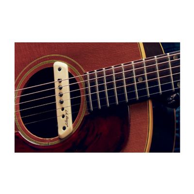 LR Baggs M1 Active Acoustic Guitar Soundhole Humbucker Pickup