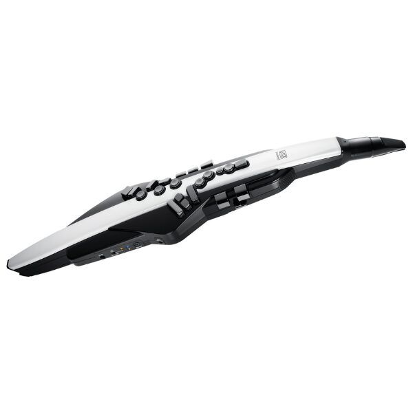 Roland Aerophone AE-20 Digital Wind Instrument