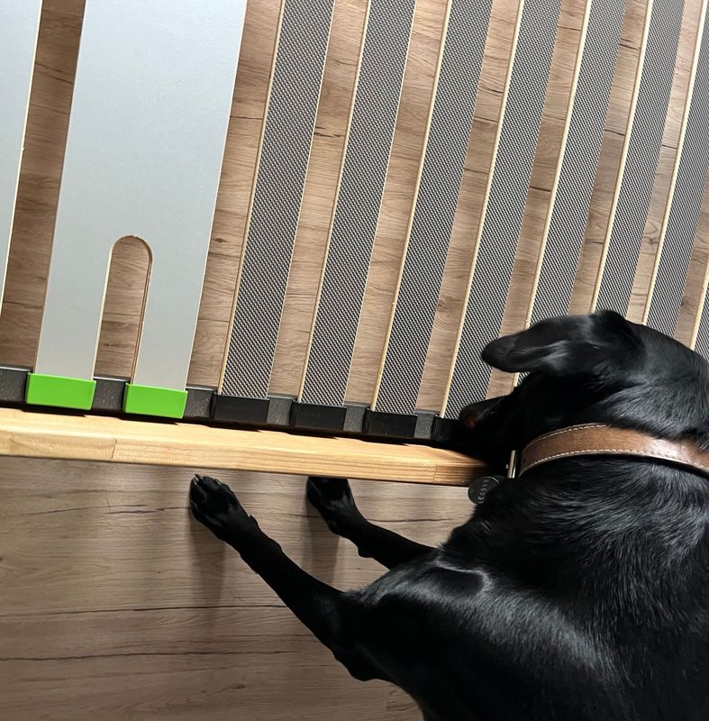 Détection canine au logement