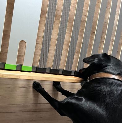 Détection canine au logement Détection canine au logement
