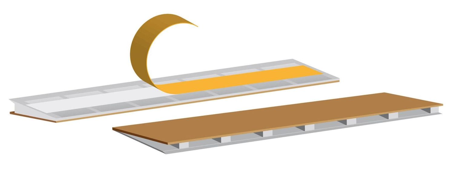 Pièges linéaires détection Punaises de lit Pièges linéaires détection Punaises de lit