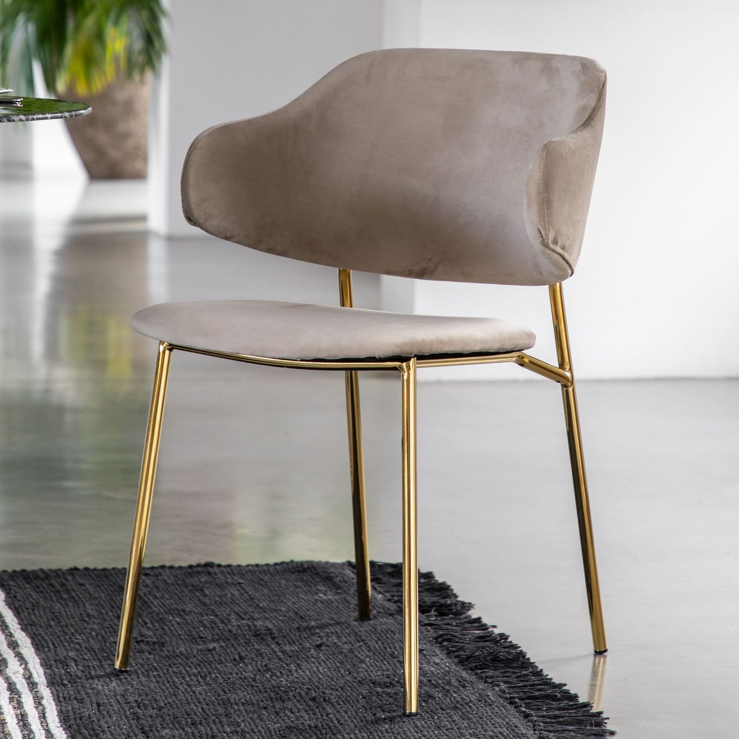 Gallery Direct Whitehall Dining Chair (Pair)