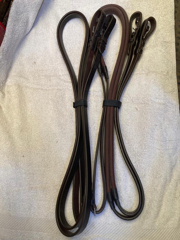 Argentinian Long Reins