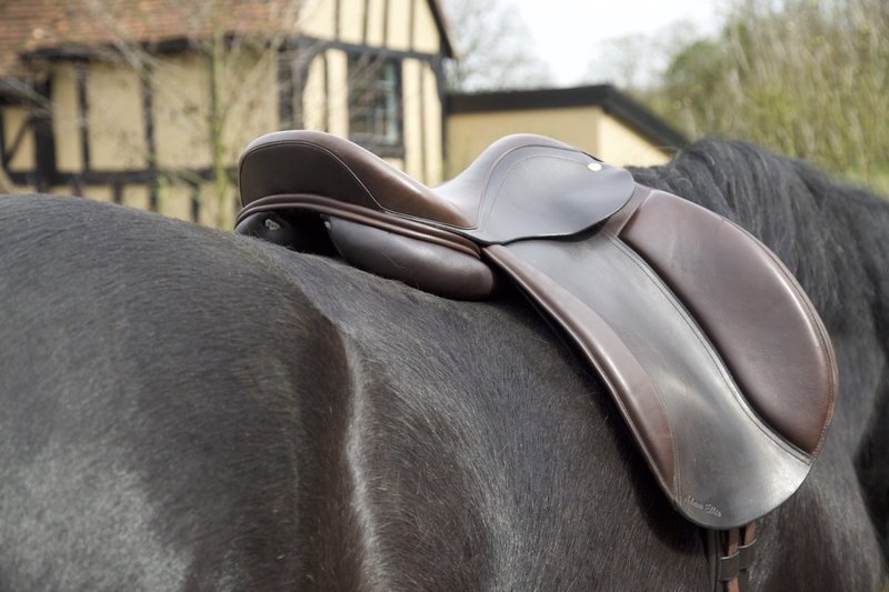Heavy Horse Show Saddle - Brown 
