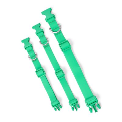 SPRINGLAND COLLAR GREEN