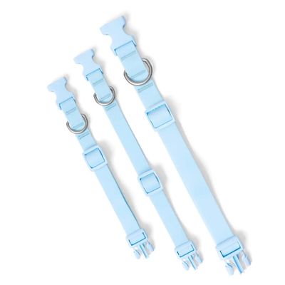 SPRINGLAND COLLAR SKY BLUE