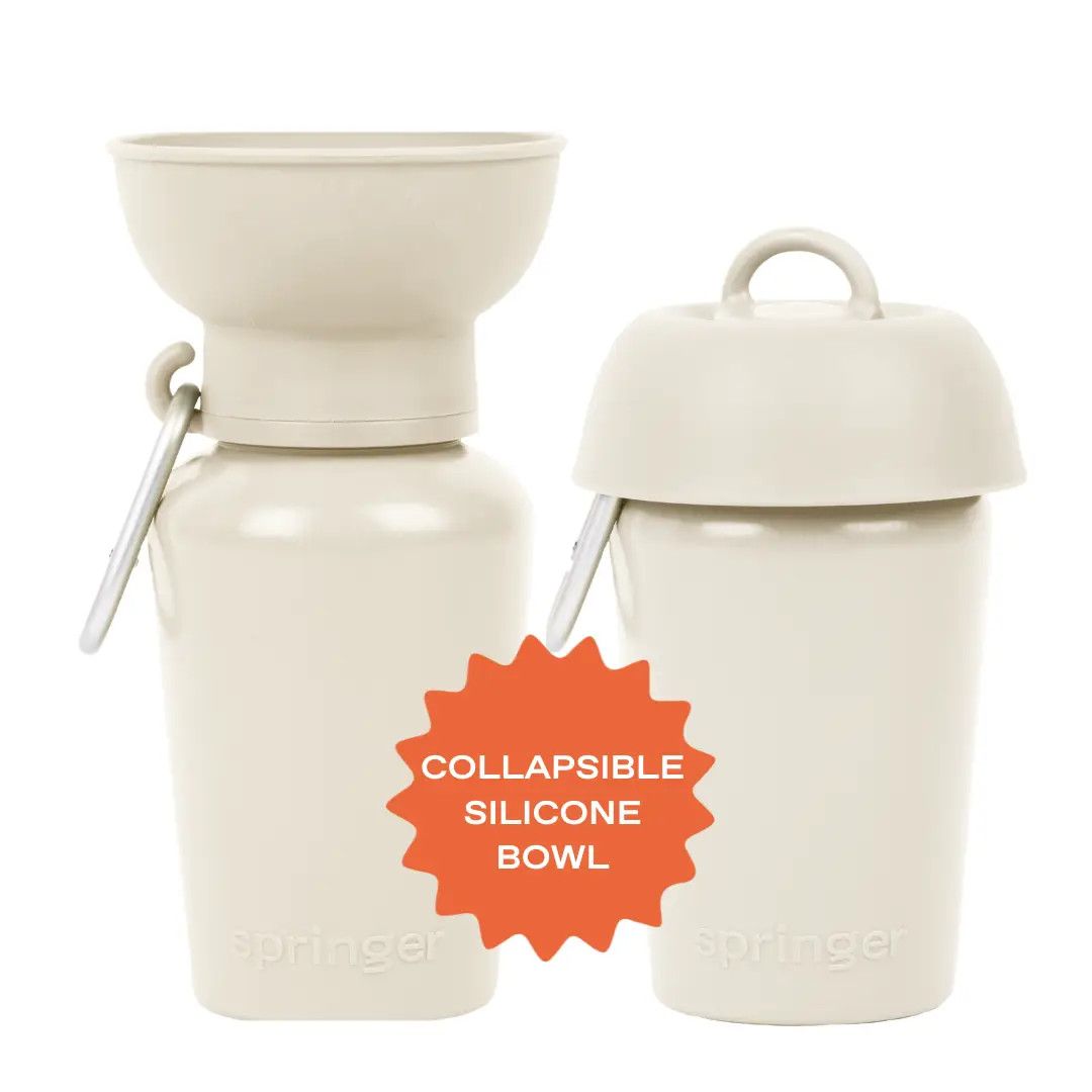 SPRINGLAND WATER BOTTLE 20 OZ FLIP, Color: OAT